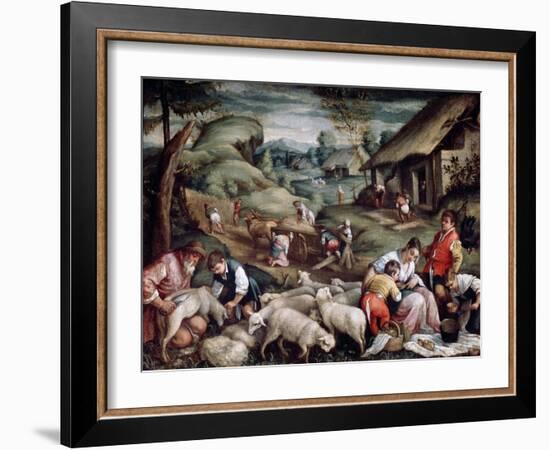 Summer. Sheep Shearing, C1570-C1580-Francesco Bassano-Framed Giclee Print