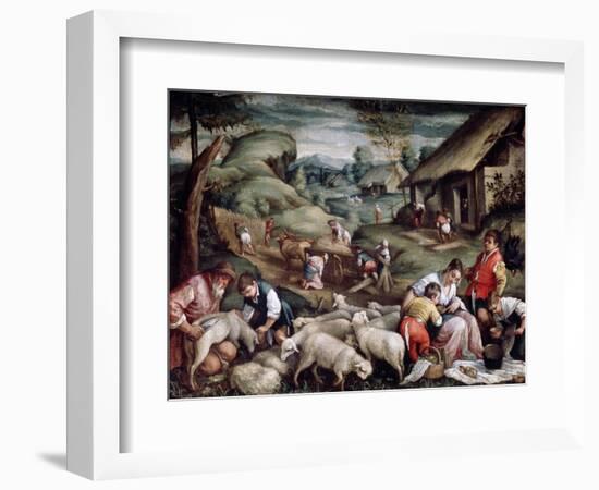 Summer. Sheep Shearing, C1570-C1580-Francesco Bassano-Framed Giclee Print