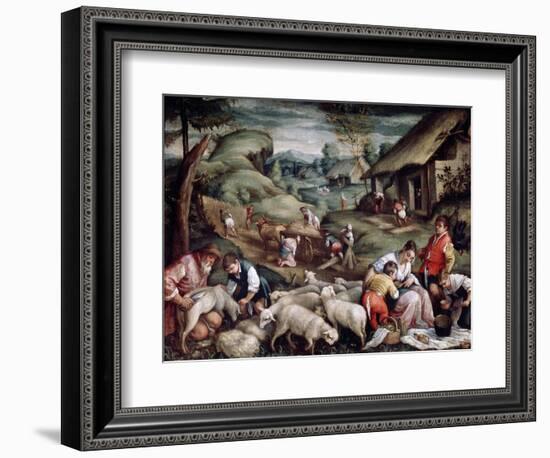 Summer. Sheep Shearing, C1570-C1580-Francesco Bassano-Framed Giclee Print