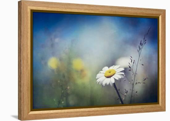 Summer Solstice-Ursula Abresch-Framed Premier Image Canvas