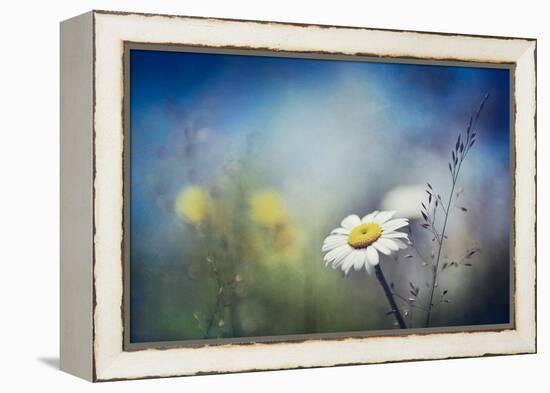 Summer Solstice-Ursula Abresch-Framed Premier Image Canvas