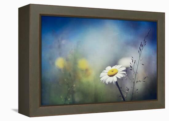 Summer Solstice-Ursula Abresch-Framed Premier Image Canvas