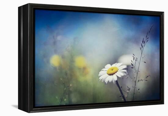 Summer Solstice-Ursula Abresch-Framed Premier Image Canvas