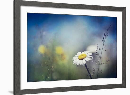 Summer Solstice-Ursula Abresch-Framed Photographic Print