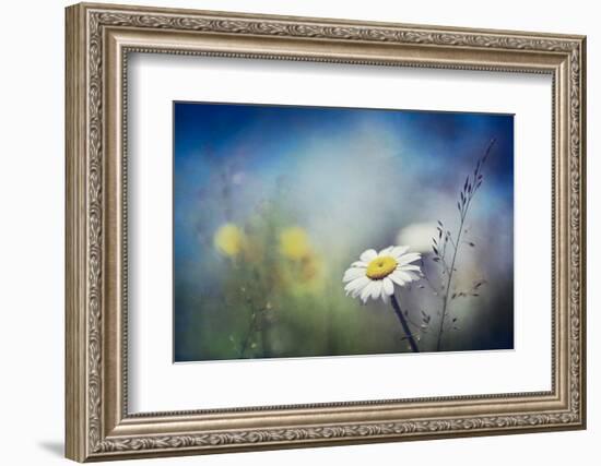 Summer Solstice-Ursula Abresch-Framed Photographic Print