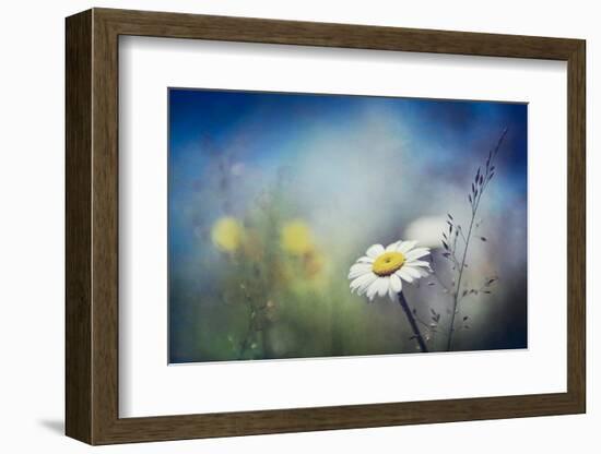 Summer Solstice-Ursula Abresch-Framed Photographic Print