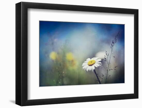 Summer Solstice-Ursula Abresch-Framed Photographic Print