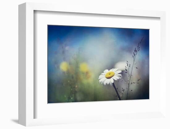 Summer Solstice-Ursula Abresch-Framed Photographic Print