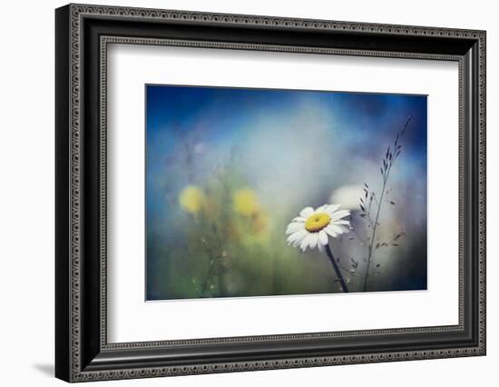 Summer Solstice-Ursula Abresch-Framed Photographic Print