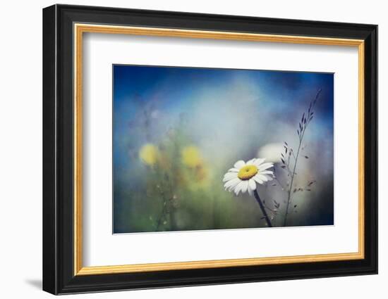 Summer Solstice-Ursula Abresch-Framed Photographic Print