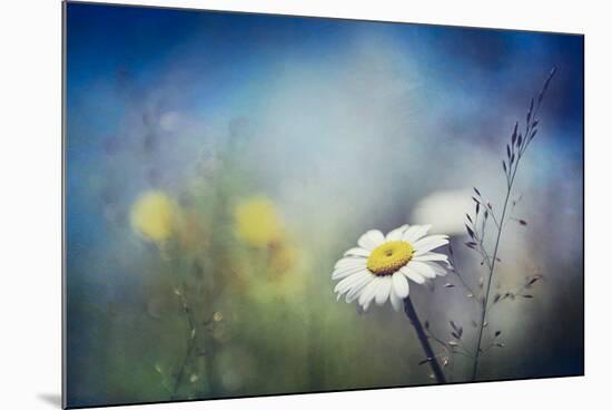 Summer Solstice-Ursula Abresch-Mounted Premium Photographic Print