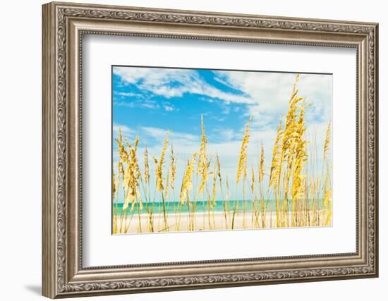 Summer Soul-Mary Lou Johnson-Framed Photo