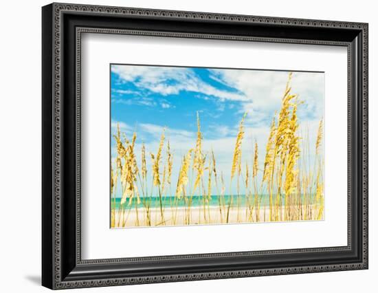 Summer Soul-Mary Lou Johnson-Framed Photo