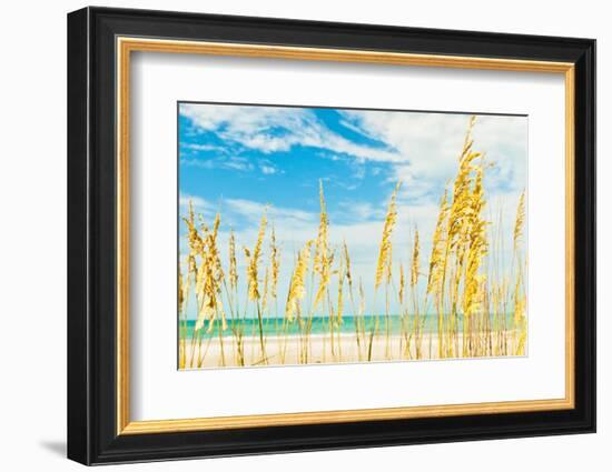 Summer Soul-Mary Lou Johnson-Framed Photo