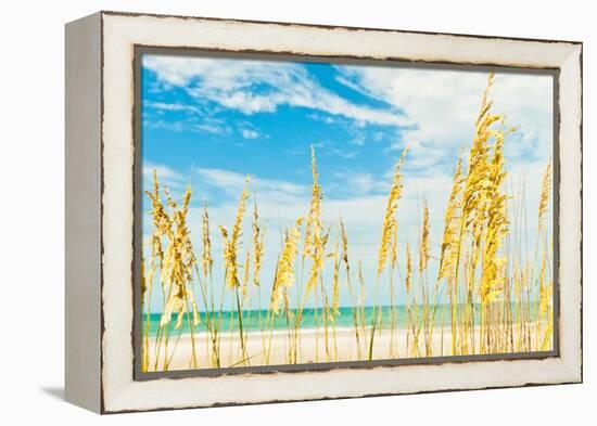 Summer Soul-Mary Lou Johnson-Framed Stretched Canvas