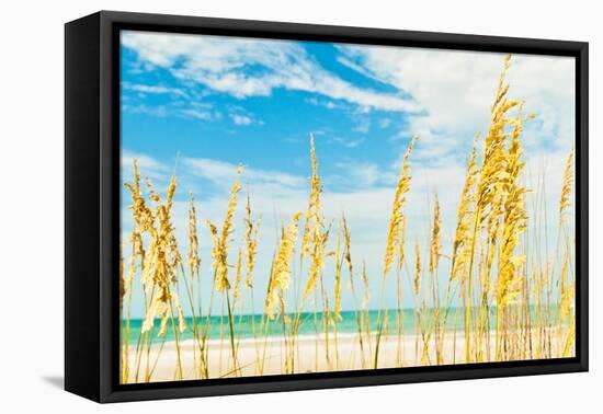 Summer Soul-Mary Lou Johnson-Framed Stretched Canvas