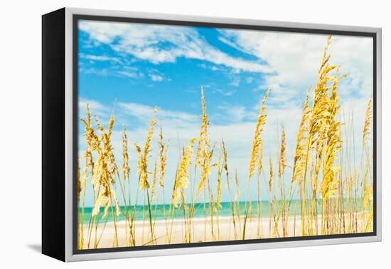 Summer Soul-Mary Lou Johnson-Framed Stretched Canvas