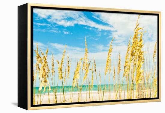 Summer Soul-Mary Lou Johnson-Framed Stretched Canvas