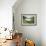 Summer Splendour-Kevin Dodds-Framed Giclee Print displayed on a wall