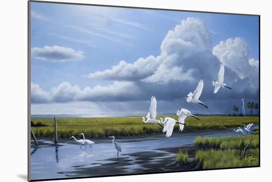 Summer Storm Egrets-Wilhelm Goebel-Mounted Giclee Print