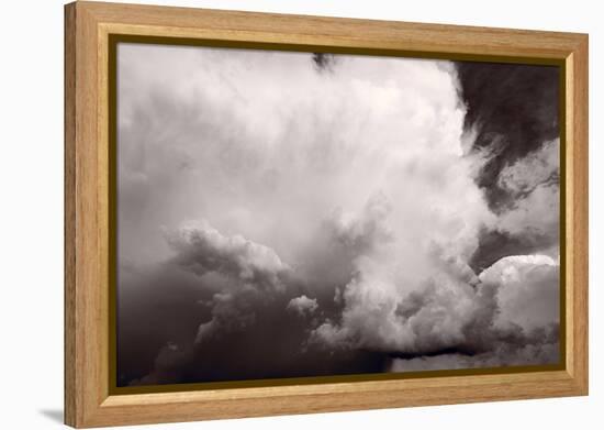 Summer Storm-Steve Gadomski-Framed Premier Image Canvas