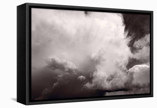 Summer Storm-Steve Gadomski-Framed Premier Image Canvas