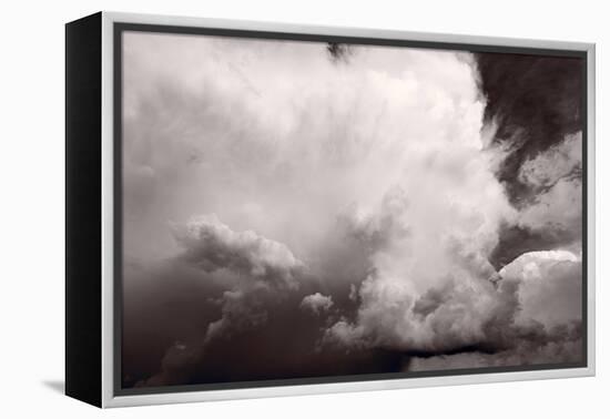 Summer Storm-Steve Gadomski-Framed Premier Image Canvas