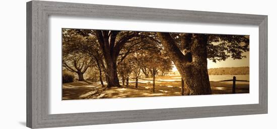 Summer Stroll Panel II-Alan Hausenflock-Framed Photographic Print