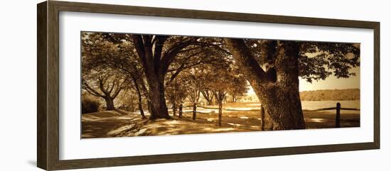 Summer Stroll Panel II-Alan Hausenflock-Framed Photographic Print