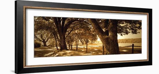 Summer Stroll Panel II-Alan Hausenflock-Framed Photographic Print