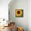 Summer Sun I-Tina Lavoie-Framed Premier Image Canvas displayed on a wall