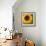 Summer Sun I-Tina Lavoie-Framed Giclee Print displayed on a wall