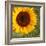 Summer Sun I-Tina Lavoie-Framed Giclee Print