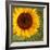 Summer Sun I-Tina Lavoie-Framed Giclee Print