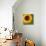 Summer Sun I-Tina Lavoie-Mounted Giclee Print displayed on a wall