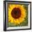 Summer Sun I-Tina Lavoie-Framed Giclee Print