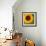 Summer Sun I-Tina Lavoie-Framed Giclee Print displayed on a wall