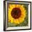 Summer Sun I-Tina Lavoie-Framed Giclee Print