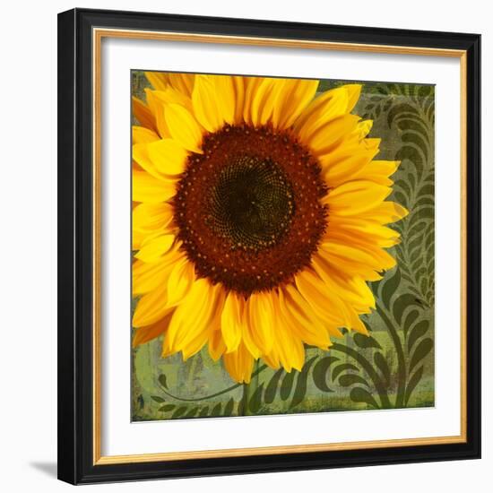 Summer Sun I-Tina Lavoie-Framed Giclee Print