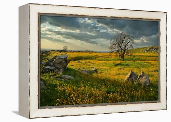 Summer Sun-Mark Geistweite-Framed Premier Image Canvas