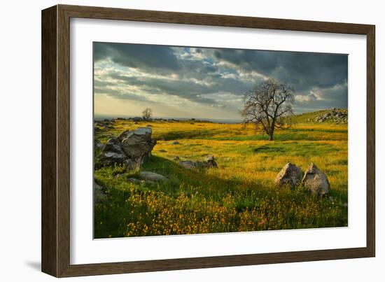 Summer Sun-Mark Geistweite-Framed Photographic Print