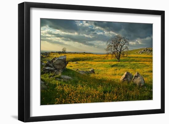 Summer Sun-Mark Geistweite-Framed Photographic Print