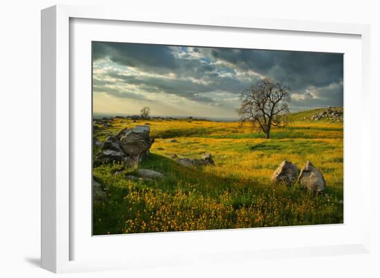 Summer Sun-Mark Geistweite-Framed Photographic Print