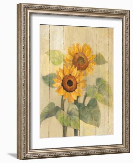 Summer Sunflowers I on Barn Board-Albena Hristova-Framed Art Print