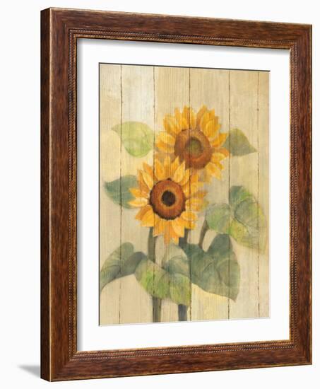 Summer Sunflowers I on Barn Board-Albena Hristova-Framed Art Print