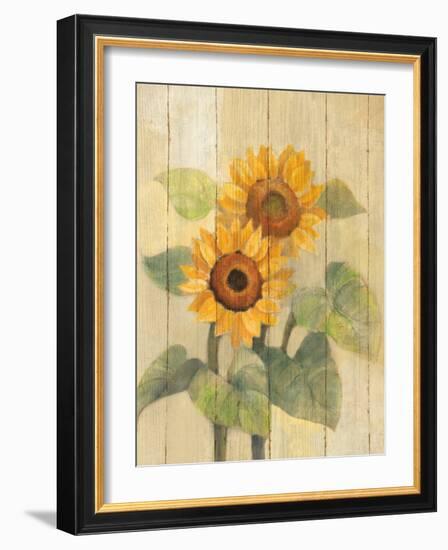 Summer Sunflowers I on Barn Board-Albena Hristova-Framed Art Print