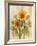 Summer Sunflowers II on Barnboard-Albena Hristova-Framed Art Print