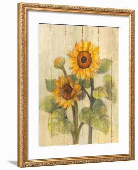 Summer Sunflowers II on Barnboard-Albena Hristova-Framed Art Print