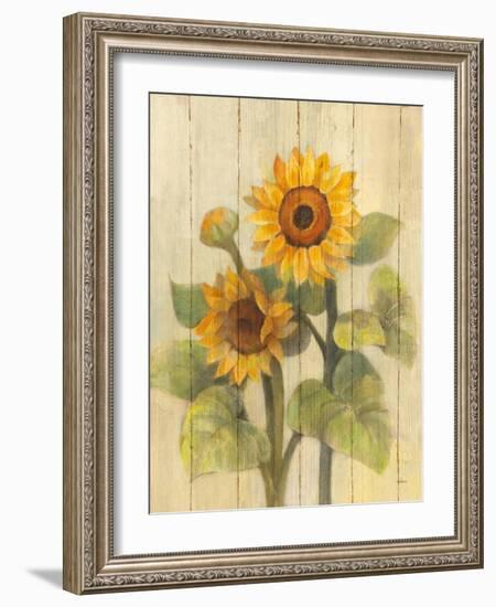 Summer Sunflowers II on Barnboard-Albena Hristova-Framed Art Print