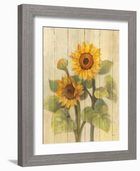 Summer Sunflowers II on Barnboard-Albena Hristova-Framed Art Print